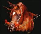 diable