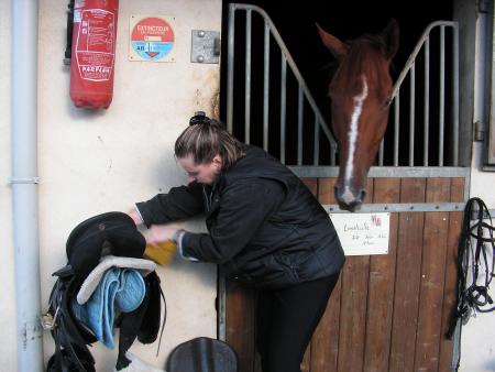 equitation